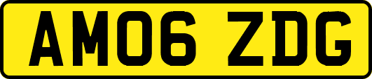 AM06ZDG