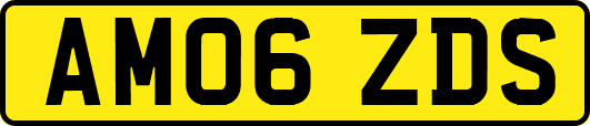 AM06ZDS