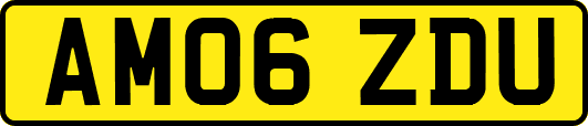 AM06ZDU