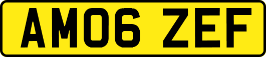 AM06ZEF