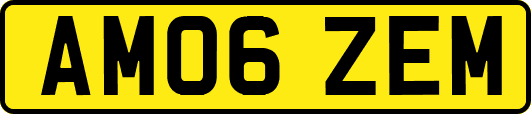 AM06ZEM