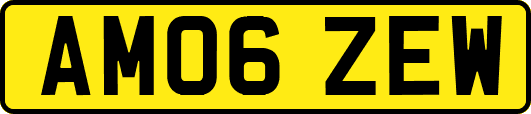AM06ZEW