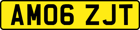 AM06ZJT