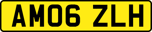 AM06ZLH