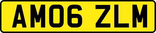 AM06ZLM