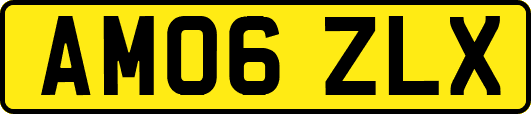 AM06ZLX