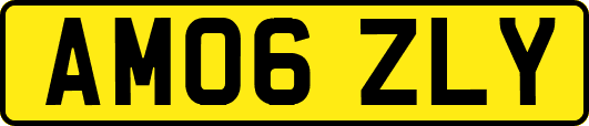 AM06ZLY