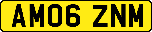 AM06ZNM