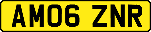 AM06ZNR