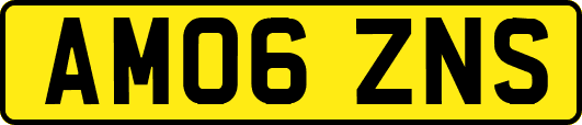 AM06ZNS