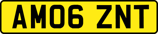 AM06ZNT