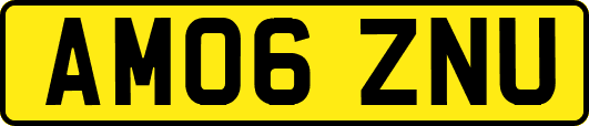 AM06ZNU