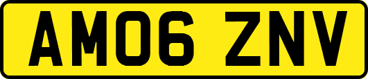 AM06ZNV