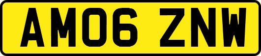 AM06ZNW