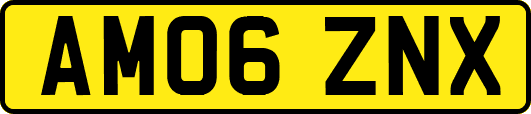 AM06ZNX