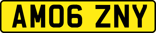AM06ZNY