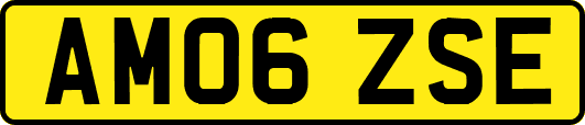 AM06ZSE