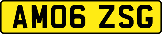 AM06ZSG