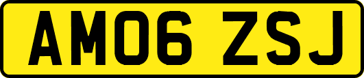 AM06ZSJ