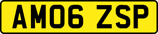 AM06ZSP