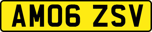AM06ZSV