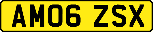 AM06ZSX