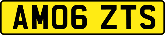 AM06ZTS