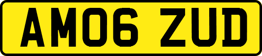 AM06ZUD
