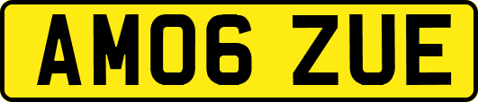 AM06ZUE
