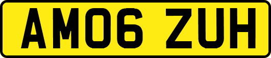 AM06ZUH