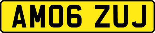 AM06ZUJ