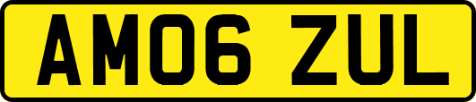 AM06ZUL
