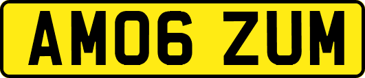 AM06ZUM