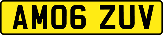 AM06ZUV