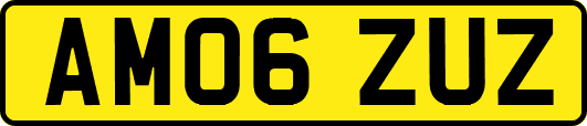 AM06ZUZ
