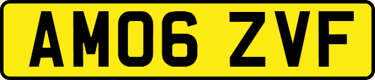 AM06ZVF