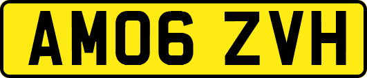 AM06ZVH