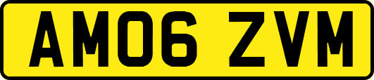 AM06ZVM