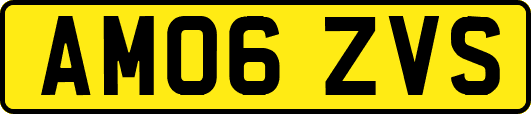 AM06ZVS