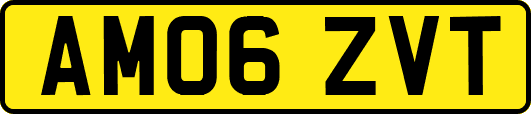 AM06ZVT