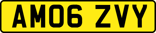 AM06ZVY