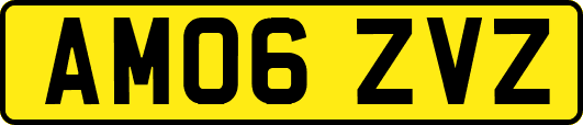 AM06ZVZ