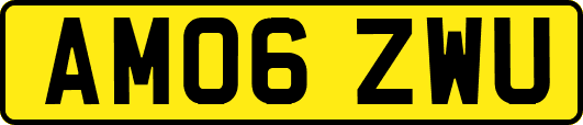 AM06ZWU