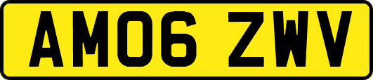 AM06ZWV