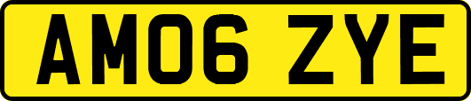 AM06ZYE