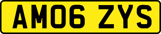 AM06ZYS
