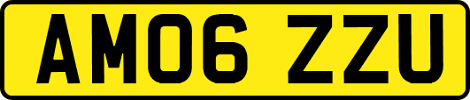 AM06ZZU