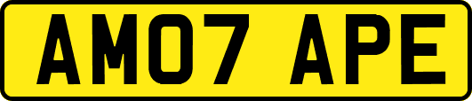 AM07APE