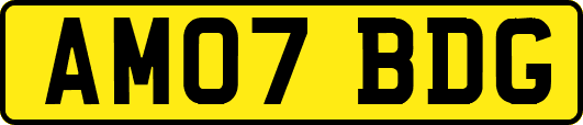 AM07BDG