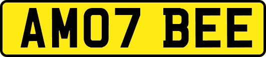 AM07BEE